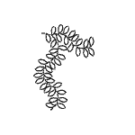 Vine Border Stencil - 5" GT-EK21