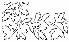 Staghorn Fern Stencil GT-MS10