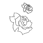 Rose HMFG-30431