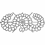 Feathered Swag Stencil-6" LAU-SWAG