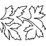Staghorn Fern GT-RD-501
