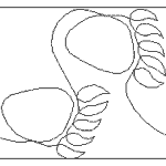 Bear Paw Border QHD-BP